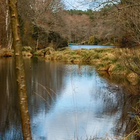 Le De L Etang Du Petit Rocher *
